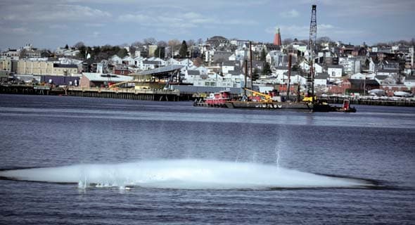 Marine Drilling and Blasting